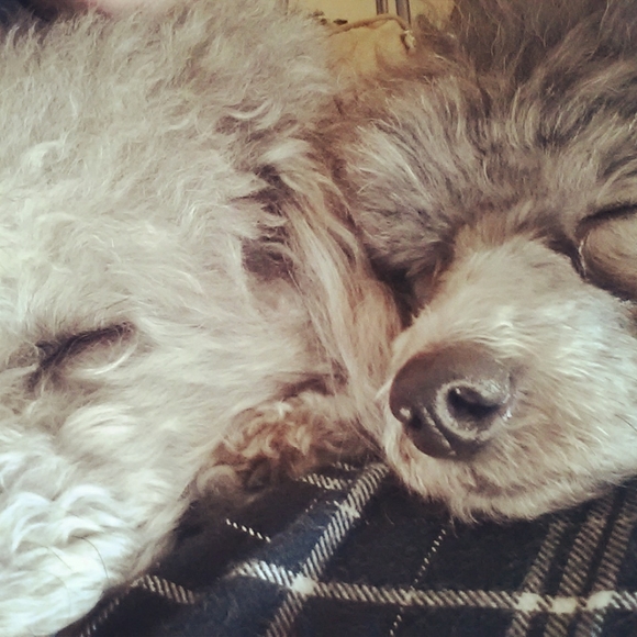 Hi! I’m Amber! - Picture 2 of 3